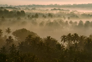 Ranní mlha nad starou krajinou Goa při východu slunce. STARÁ GOA, GOA, INDIE.