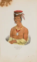 WAA-BIN-DE-BA neboli Orel s bílou hlavou; náčelník Chippeway, z portfolia domorodců