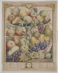 listopad 1732
