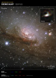 Galaxie Circinus (snímek z přístroje Hubble and Webb Compass)  