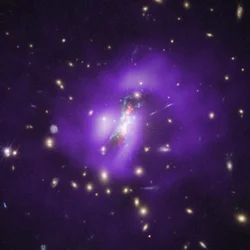 Kupy Phoenix (Hubble, Chandra, VLA)