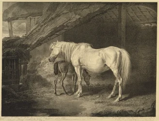 Primrose and Foal, from Celebated Horses, soubor čtrnácti závodních tisků vydaných umělcem, 1823-24