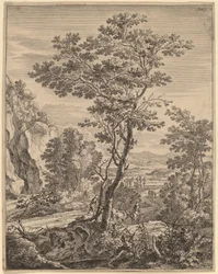 Velký strom