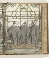 Zkrocení divokého slona v dočasné stáji, pohled zezadu