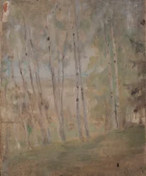 Mariino - Břízy