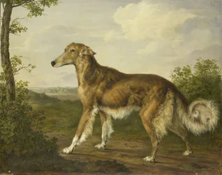 Sibiřský chrt, asi 1825 (olej na plátně)