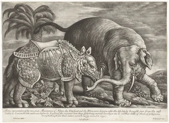 Olifant een neushoorn Skutečné zobrazení dvou velkých mistrovských děl přírody, slona a nosorožce (název na předmětu)