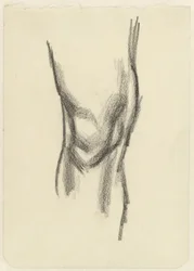 Studie kolena