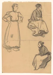 Studie žen