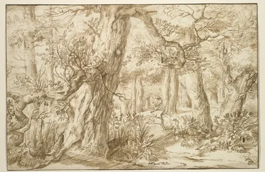 Forest Interior with Draftsman, c.1664 (hnědý inkoust na starožitném papíru)