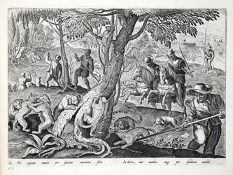 Lov koček se psy, ilustrace z knihy "Venationes, Ferarum, Avium, Piscium" (O lovu: divoká zvěř, ptáci, ryby), vyryl Jan Collaert (1566-1628), vydal Phillipus Gallaeus, Amsterdam (eng.