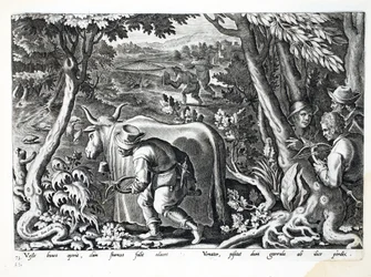 Lov na špačky a koroptve, ilustrace z 