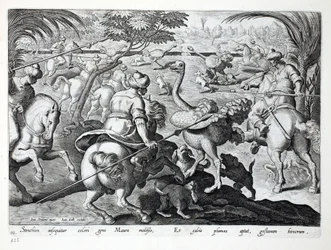 Maurové na koních lovící pštrosy, deska 62, ilustrace z díla „Venationes, Ferarum, Avium, Piscium“ (O lovu: divoká zvěř, ptáci, ryby), vyryl Jan Collaert (1566-1628), vydal Phillipus