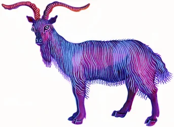 Kozoroh, 1996, (tuš a kvaš)