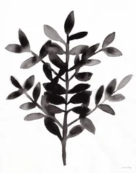 Botanický s kapradinou Nagi III (tuš na papíře)
