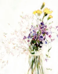 Phlox, Carnation a Baby