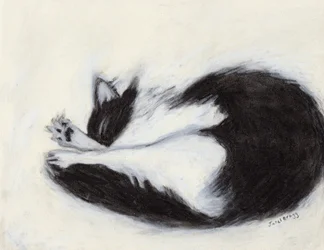 Thomas Taking a Naping, cca 2018 (uhel a pastel na papíře)