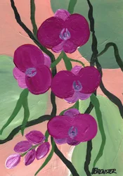 Purpurové květy orchidejí