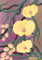 Zářivě žluté orchideje