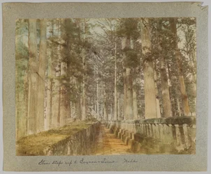 Kamenné kroky k Iejasuově hrobce, Nikko, Japonsko (ručně kolorovaná černobílá fotografie)
