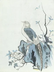 Bird on a Rock (dřevořez)
