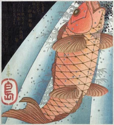 Koi kapr; hospoda. C. 1820