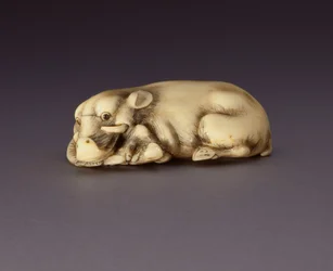 Netsuke zobrazující ležícího kance, c. 1750-80 (narwahl roh) (viz také 210190)