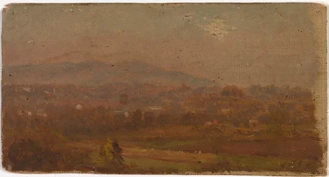 Bez názvu, ca. 1875-1880.