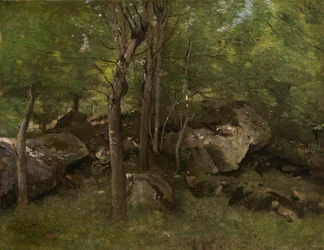 Skály v lese Fontainebleau
