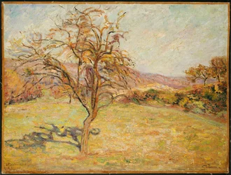 Krajina, 1890