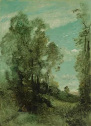 Krajina stromů (ráno)