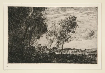 Dans les Dunes: souvenir du bois de la Haye (In The Dunes: Memory of the Woods of the Haag)