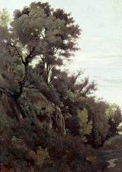 Marino - Stromy a skály