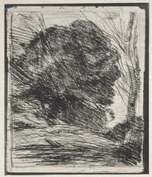 Stromy na hoře, původní otisk 1856, vytištěno v roce 1921.