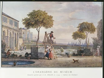 Orangerie v muzeu v Paříži v roce 1794