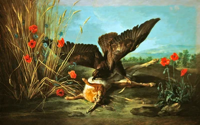 Káně převrací zajíce aneb Jestřáb a zajíc, 1749