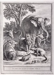 Lev jde do války, c.1755-1759