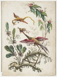 Ornament. Chinoiserie. Květiny a ptáci., 1770