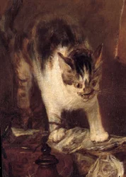 Zátiší s rejnokem, rybami, ústřicemi a džbánem. Detail kočky. 1727. 1,14 x 1,46 m. Paříž, muzeum Louvre