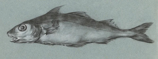 Fish Green (1775–1833)