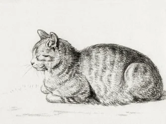 Ležící kočka (1811)