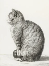 Sedící kočka (1815)