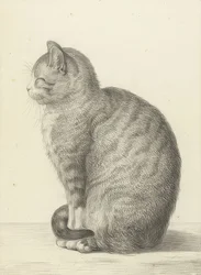 Sedící kočka, vlevo. 1815