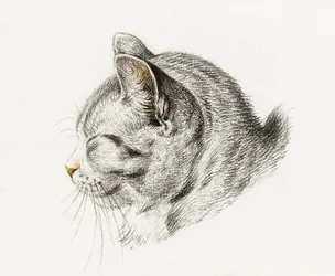 Náčrt kočky (1813)