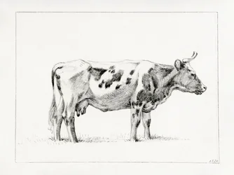 Stojící kráva (1820)