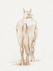 Stojící kůň (1815) od Jeana Bernarda