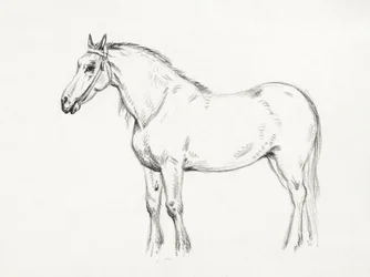 Stojící kůň (1818)