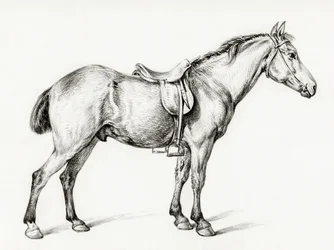 Stojící kůň, autor Jean Bernard (1775–1883)