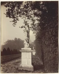 Versailles, roh parku