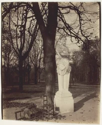 Versailles, roh parku